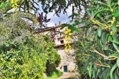CesarilliA1