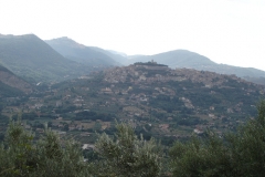 alatridaveroli